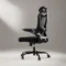 Marsail Ergonomic Office Chair